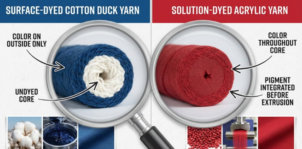 Microscopic cross-section comparing surface-dyed cotton canvas duck fibers to core-pigmented solution-dyed acrylic Sunbrella fibers.